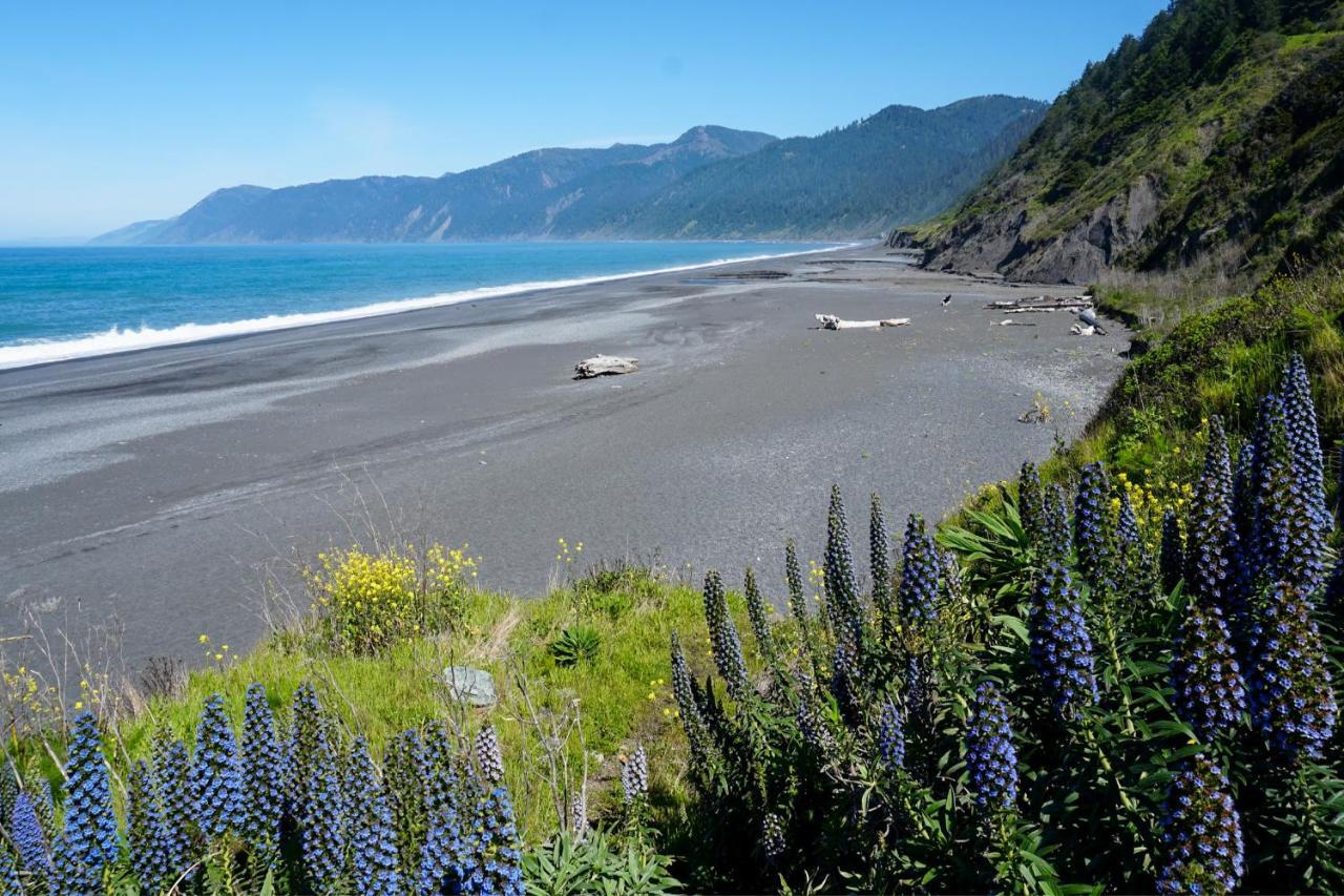 Lost Coast Hideaway Shelter Cove Ngoại thất bức ảnh